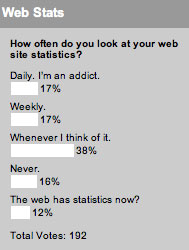 How often do you look at your web site statistics?