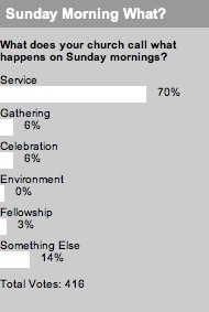 2008_03_18sundaymorningwhatpoll.jpg