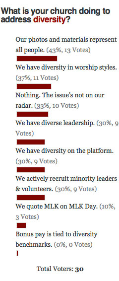 Diversity Poll Results