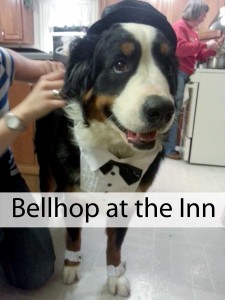 Social Media Christmas: Bellhop at the Inn