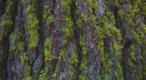Valuing Communication While Serving Your Pastor