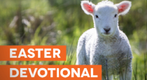 Easter Devotional for Church Communicators