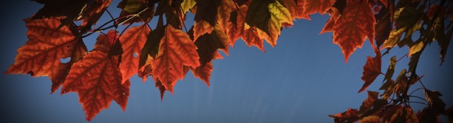 5 Fall Kickoff Tips for Church Communicators