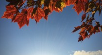 5 Fall Kickoff Tips for Church Communicators